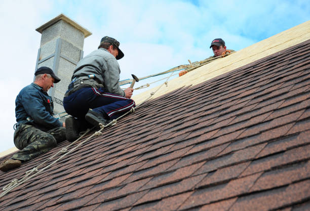 Best Roof Maintenance Services  in Ellijay, GA